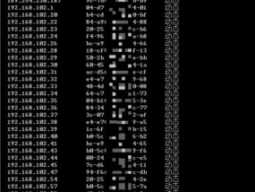掌握电脑查IP的CMD命令（使用CMD命令轻松获取IP地址信息）
