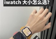 通过iWatch序列号查询日期，了解更多关于产品的信息（提供便捷的方式）