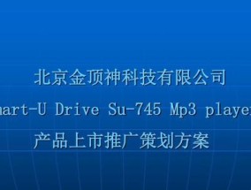 如何制定一个成功的网店推广策划方案（提升线上销售）