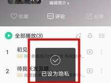 如何将QQ音乐歌曲下载到U盘（简单步骤教你实现音乐下载与存储）