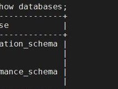 MySQL数据库基础知识解析（了解MySQL的核心概念和基本操作）