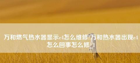 解决万和热水器E4故障的有效维修方法（快速解决万和热水器E4故障的维修技巧）  第2张